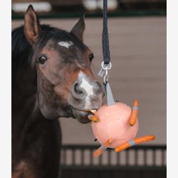 Waldhausen Hesteleget�j - Gulerods bold - Linnea Pink