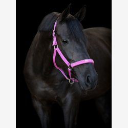 HG Malva grime - Phlox Pink