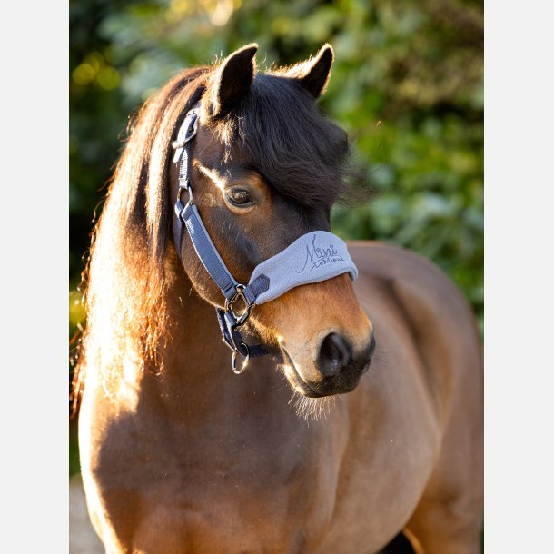 Lemieux MINI Vouge Headcollar &amp; Leadrope - Indigo