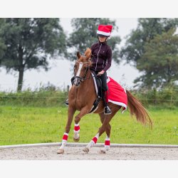 QHP Jule bandage - St  4 stk