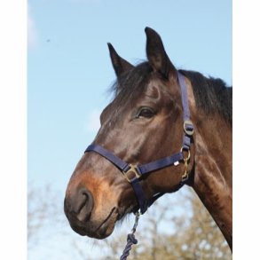 HG Nylongrime - Navy