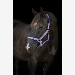 HG Malva grime - Lavender