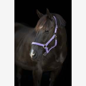 HG Malva grime - Lavender