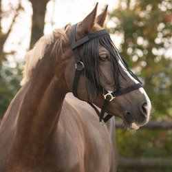 QHP Fluepandeb�nd - Sort