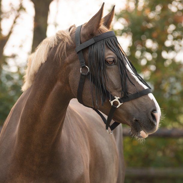 QHP Fluepandeb�nd - Sort