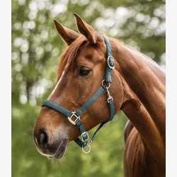 Waldhausen Perlon Satin grime - Pine Green