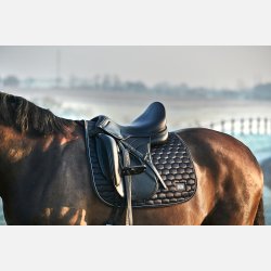 HG Kora sadelunderlag - Sort