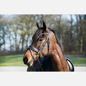 HG Cryll 23.2 trense komb.NB m/tilbagetrk - Rock Crystal - Brun