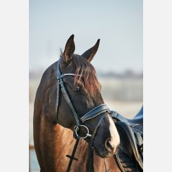 HG Cryll 23.2 trense komb.NB m/tilbagetrk - Rock Crystal - Sort