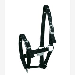 Waldhausen Fl grime Triple