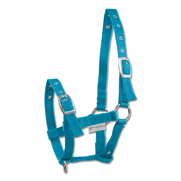 Waldhausen Fl grime - Azure Blue