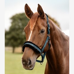 Waldhausen Elegant Grime - Petrol Blue