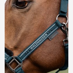 Waldhausen Elegant Grime - Petrol Blue