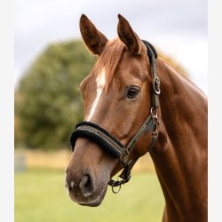 Waldhausen Elegant Grime - Green Brown