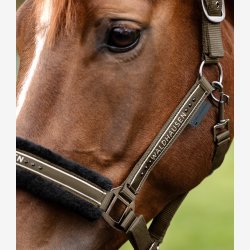 Waldhausen Elegant Grime - Green Brown