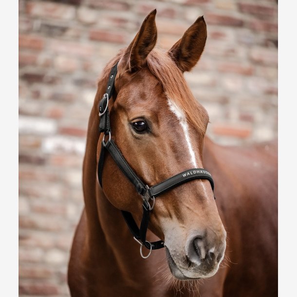 Waldhausen Athletic grime - Sort