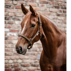 Waldhausen Athletic grime - Cappuccino