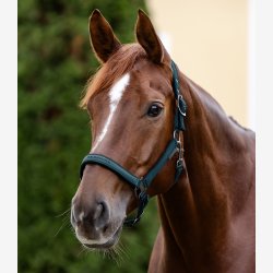 Waldhausen Athletic grime - Petrol Blue