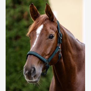 Waldhausen Athletic grime - Petrol Blue