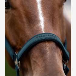 Waldhausen Athletic grime - Petrol Blue