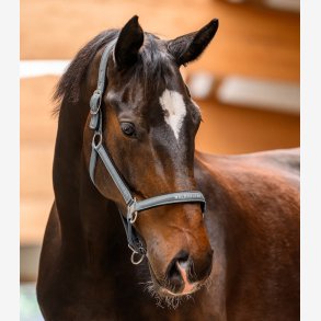 Waldhausen Athletic grime - Chrome Grey