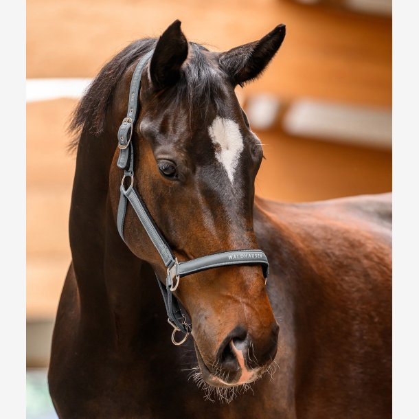 Waldhausen Athletic grime - Chrome Grey