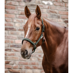 Waldhausen Athletic grime - Dark olive