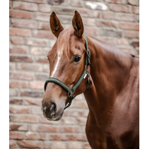 Waldhausen Athletic grime - Dark olive