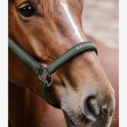 Waldhausen Athletic grime - Dark olive