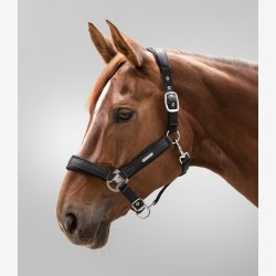 Waldhausen Mesh Grime - Sort