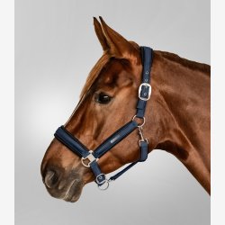 Waldhausen Mesh Grime - NightBlue