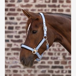 Waldhausen Mesh Grime - Pastel Blue