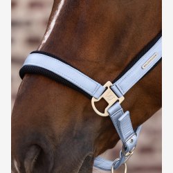 Waldhausen Mesh Grime - Pastel Blue