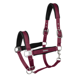 Waldhausen Mesh Grime - Velvet Red