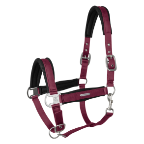 Waldhausen Mesh Grime - Velvet Red