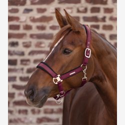 Waldhausen Mesh Grime - Velvet Red