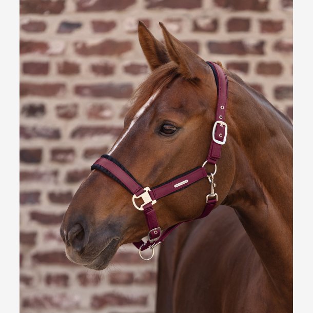 Waldhausen Mesh Grime - Velvet Red