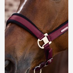 Waldhausen Mesh Grime - Velvet Red