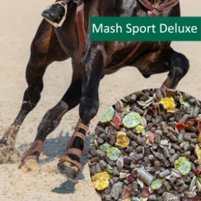 HorsePro Mash Sport Deluxe