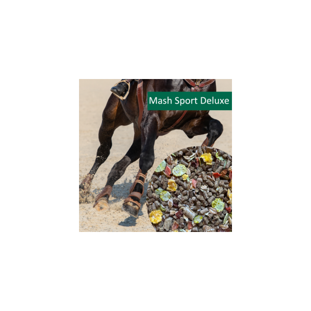 HorsePro Mash Sport Deluxe