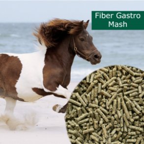 HorsePro Fiber Gastro Mash