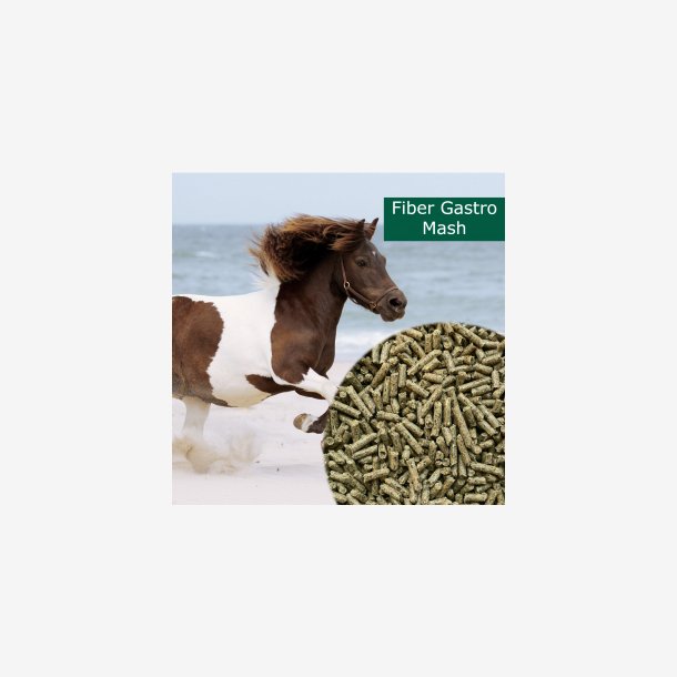 HorsePro Fiber Gastro Mash
