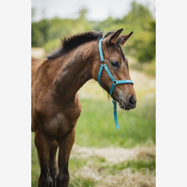 HG Malva f�lgrime - Arctic