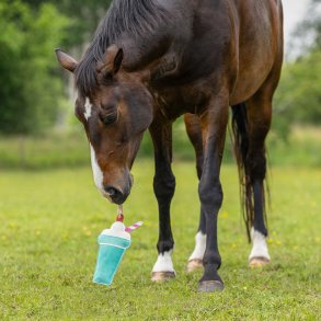 QHP Hesteleget�j - Milkshake