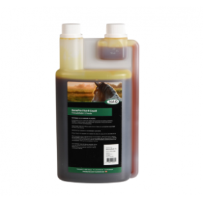 HorsePro Vital B Liquid - 1 L
