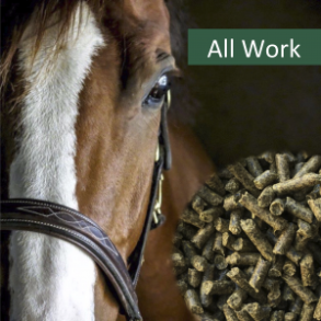 HorsePro All Work - 20 kg