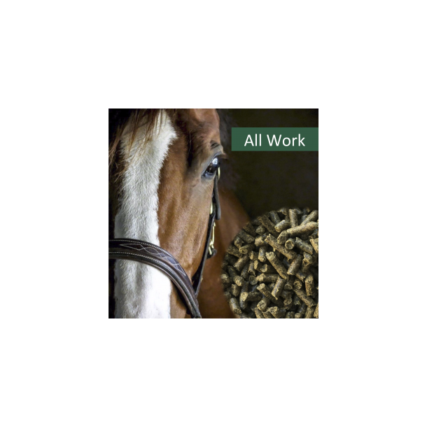 HorsePro All Work - 20 kg