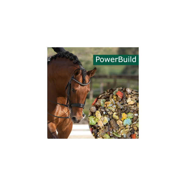 HorsePro Powerbuild - 20 kg