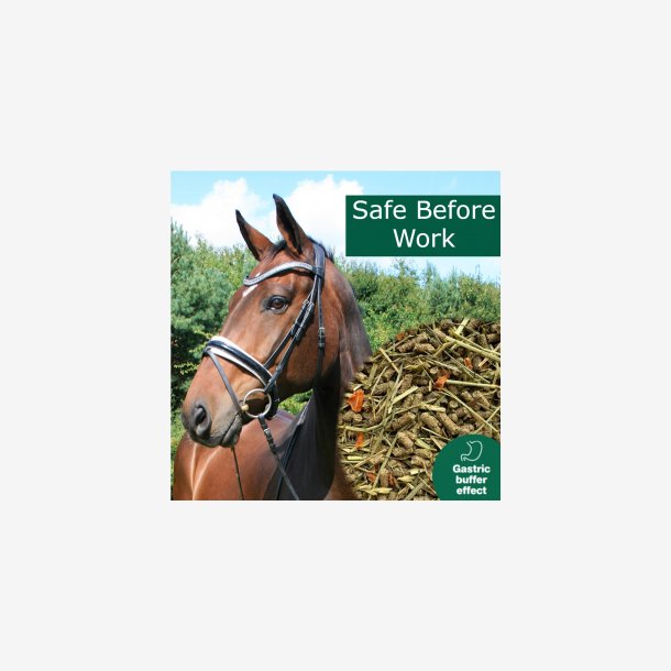 HorsePro Safe Before Work