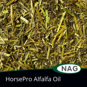 HorsePro Alfalfa Oil - 15 kg
